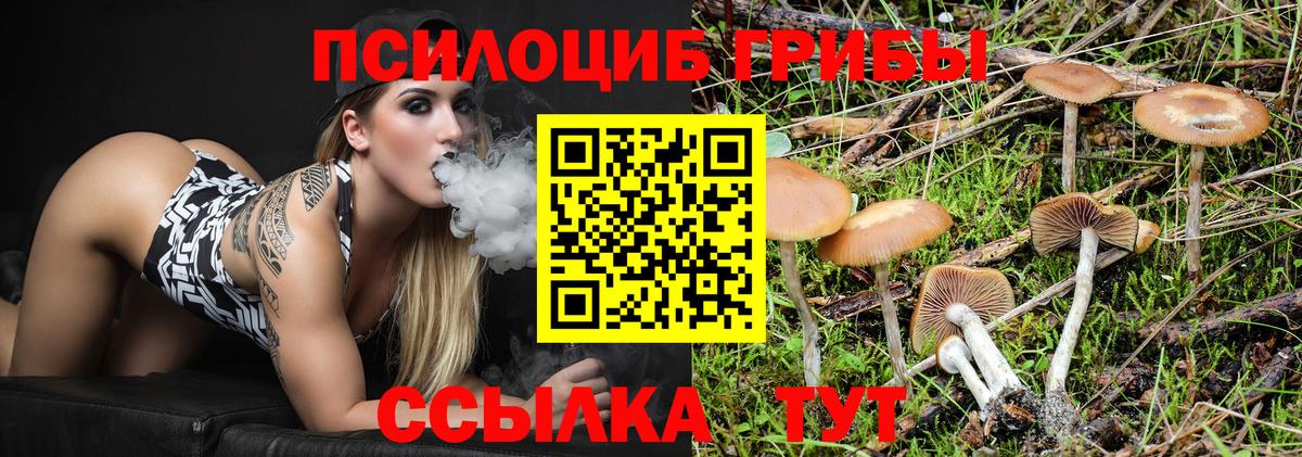 Псилоцибиновые грибы мухоморы Воткинск