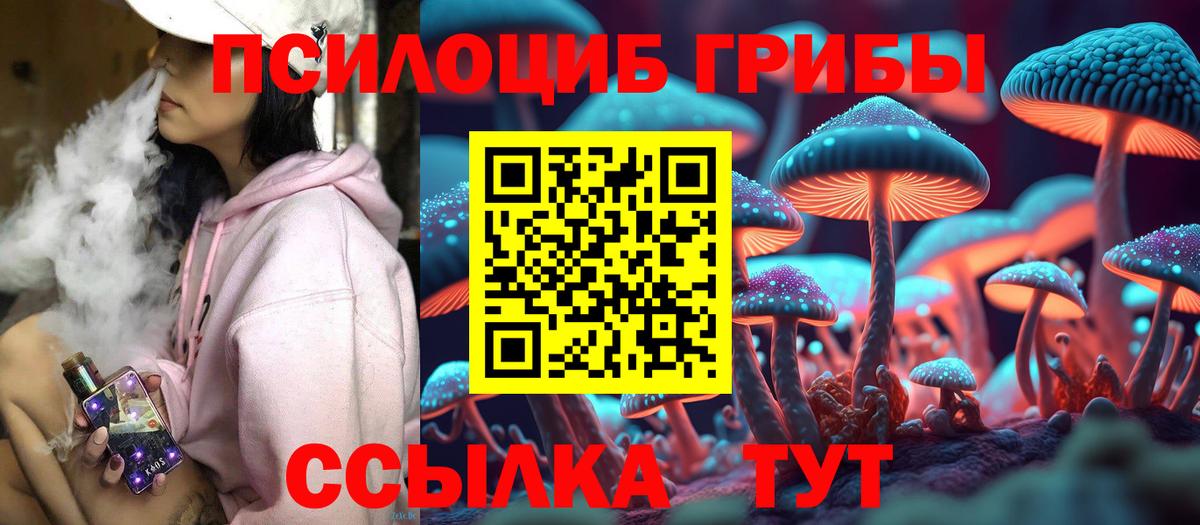 Галлюциногенные грибы Psilocybine cubensis  Вход с VPN  Воткинск 